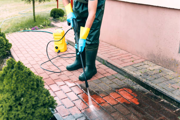 Best Fence Cleaning  in Quincy, IL